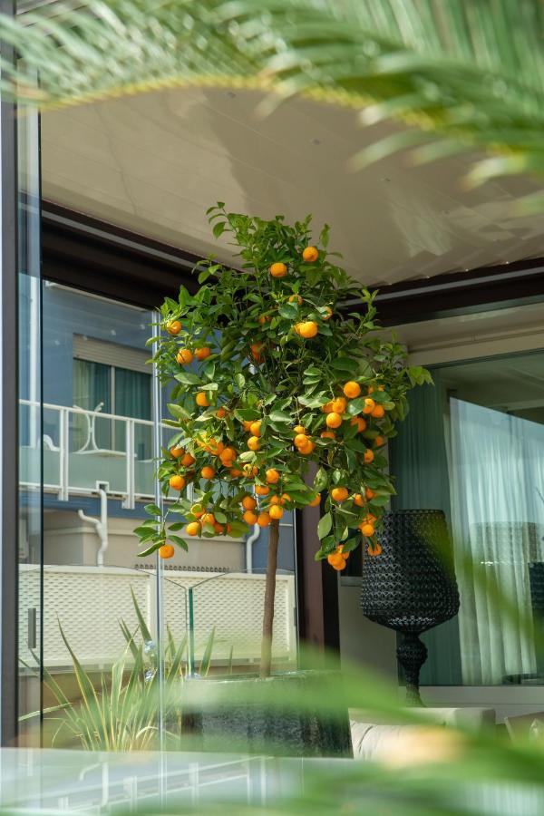 Hotel Orchidea تّشيرفييا المظهر الخارجي الصورة